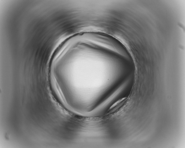 X0000095881008200802011039