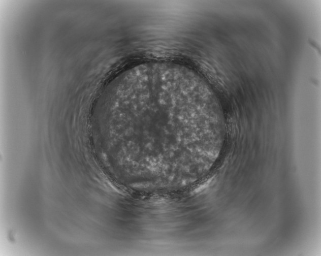 X0000095881009200802011039