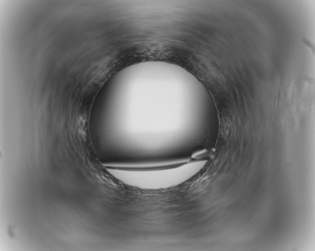 X0000095881010200802011039