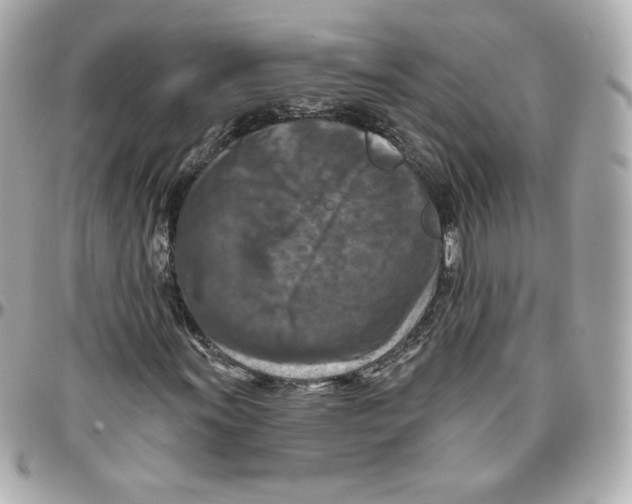 X0000095881011200802011039