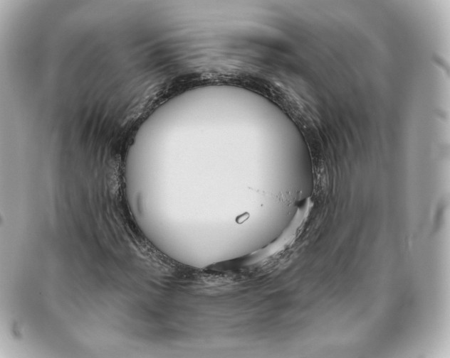 X0000095881012200802011039