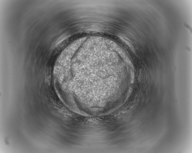 X0000095881015200802011039