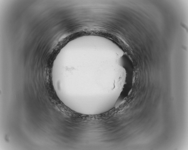 X0000095881016200802011039