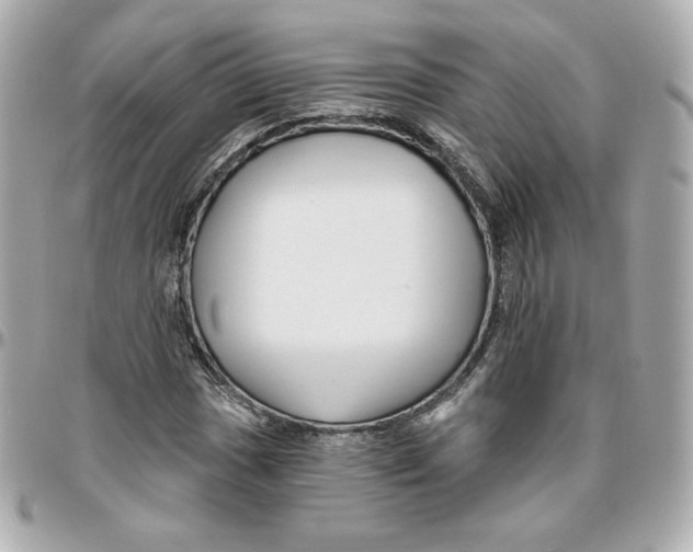 X0000095881017200802011039