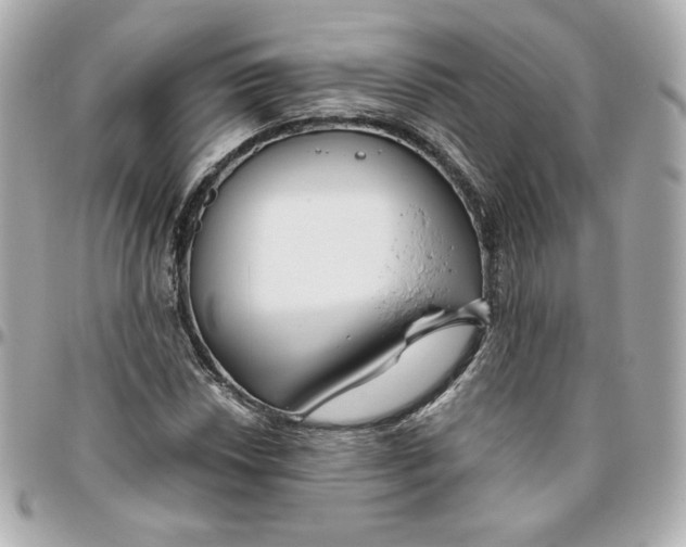 X0000095881018200802011039