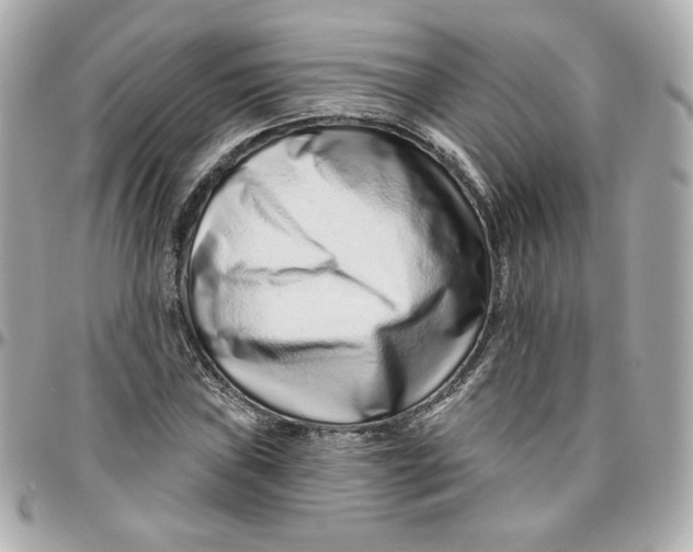 X0000095881019200802011039