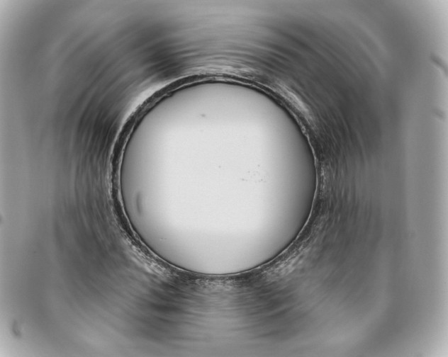 X0000095881020200802011039