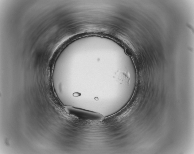 X0000095881021200802011039