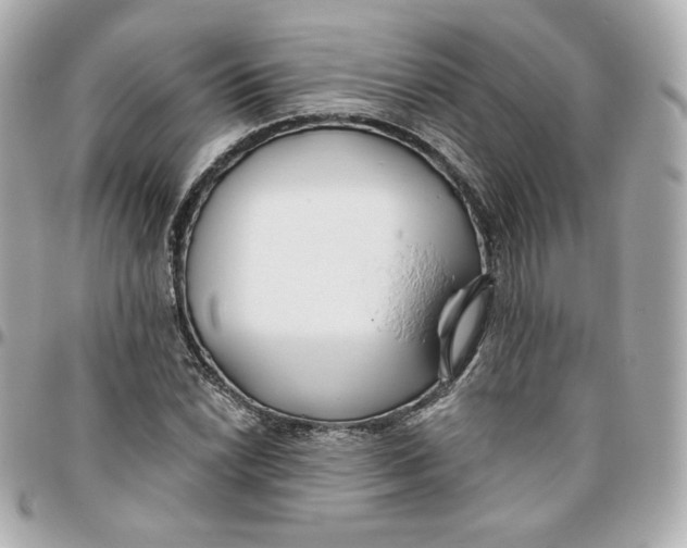 X0000095881022200802011039