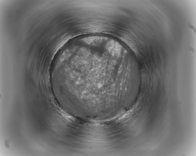 X0000095881023200802011039