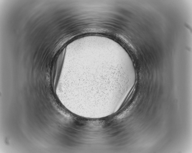 X0000095881025200802011039