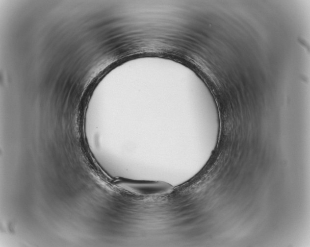 X0000095881026200802011039