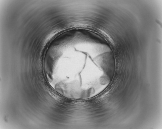 X0000095881027200802011039