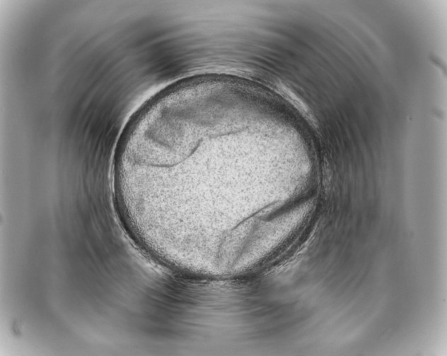 X0000095881028200802011039