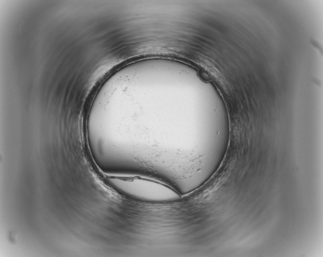 X0000095881030200802011039