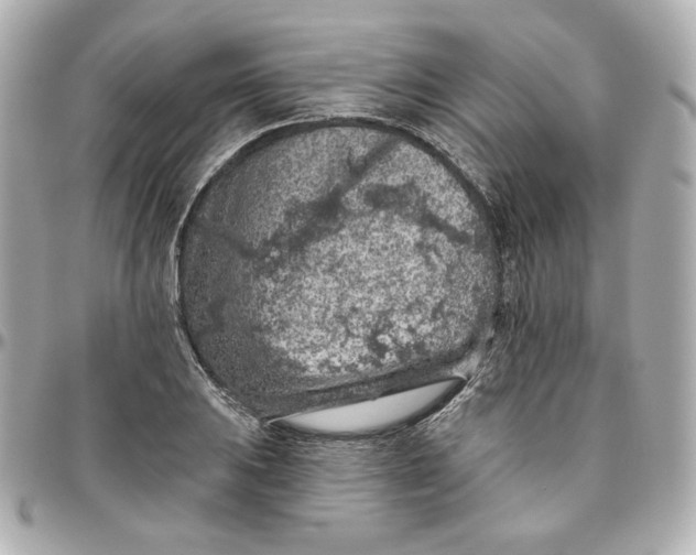 X0000095881031200802011039