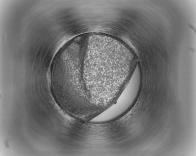 X0000095881032200802011039