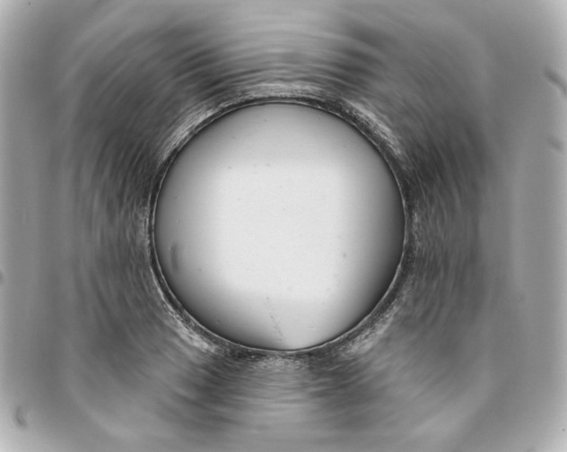 X0000095881033200802011039