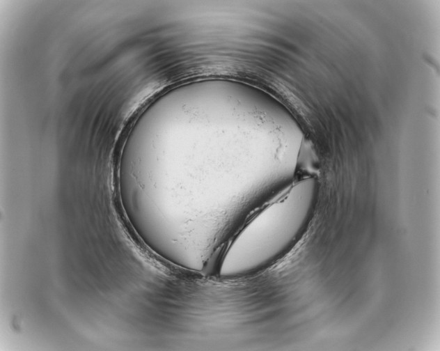 X0000095881034200802011039