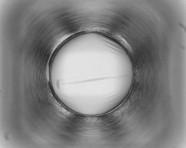 X0000095881036200802011039