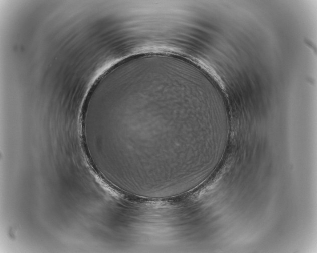 X0000095881037200802011039