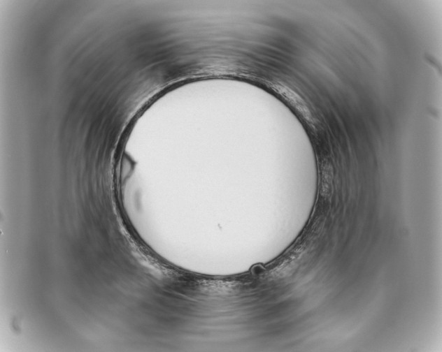 X0000095881039200802011039