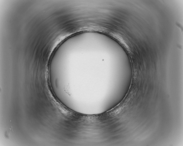 X0000095881040200802011039