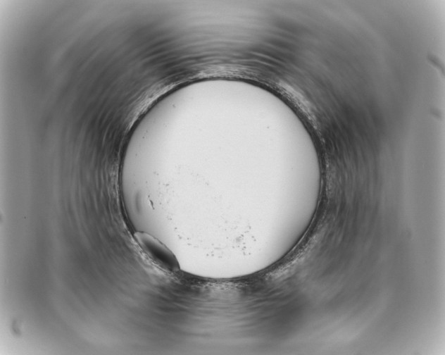 X0000095881041200802011039