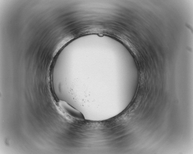 X0000095881042200802011039