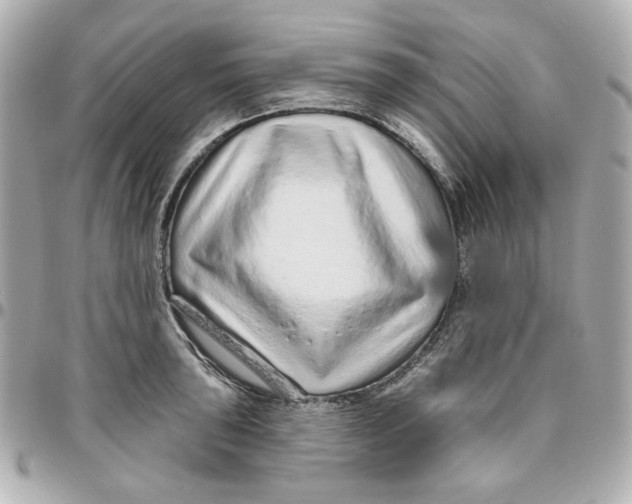 X0000095881043200802011039