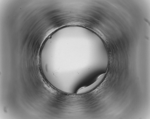 X0000095881044200802011039