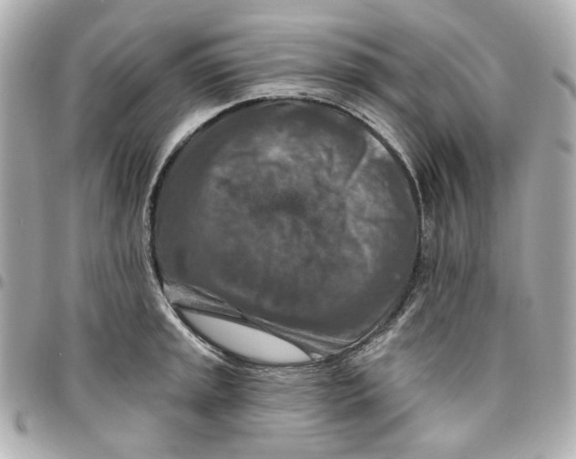 X0000095881045200802011039