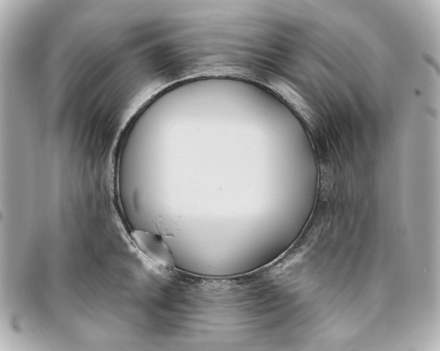 X0000095881046200802011039