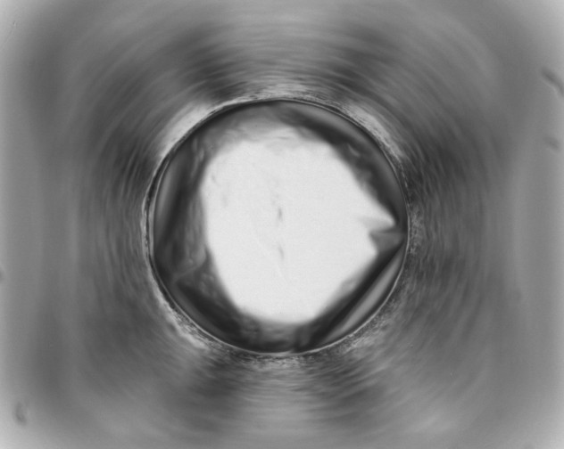 X0000095881047200802011039