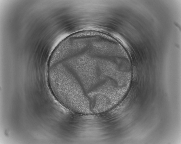 X0000095881048200802011039