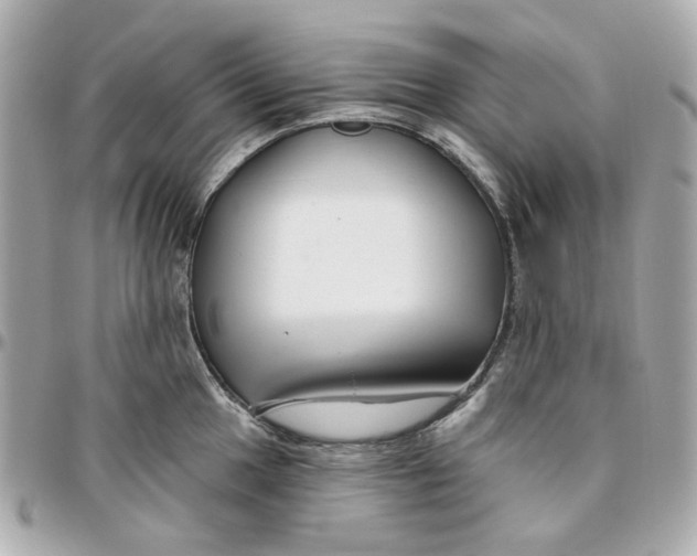 X0000095881049200802011039