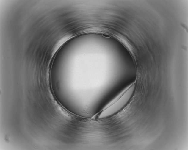 X0000095881050200802011039