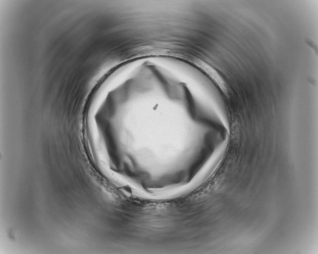 X0000095881051200802011039