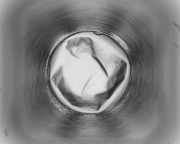 X0000095881052200802011039