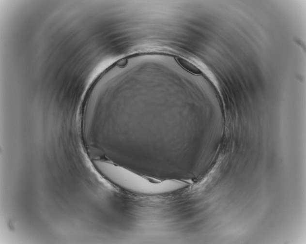 X0000095881053200802011039