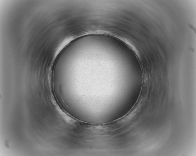 X0000095881054200802011039