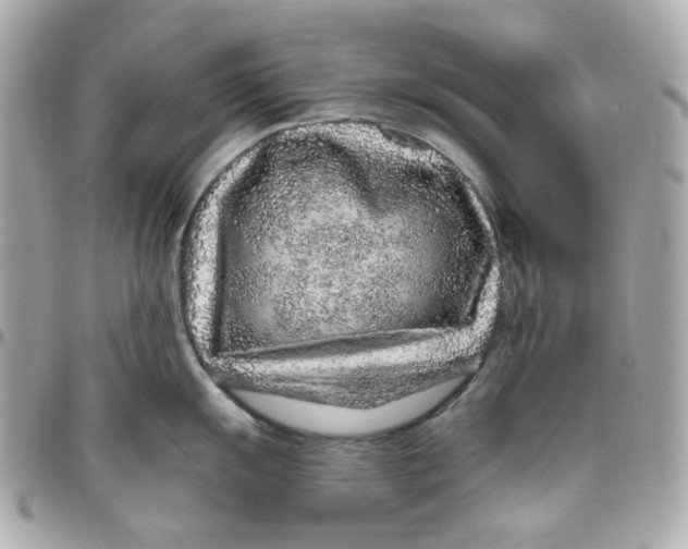 X0000095881055200802011039