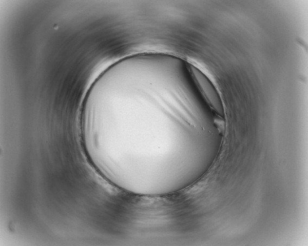 X0000095881056200802011039