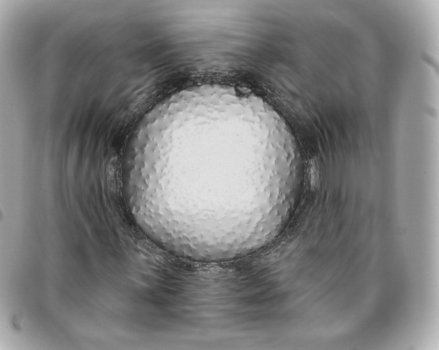 X0000095881059200802011039