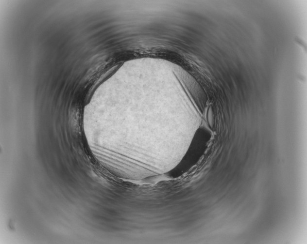 X0000095881060200802011039