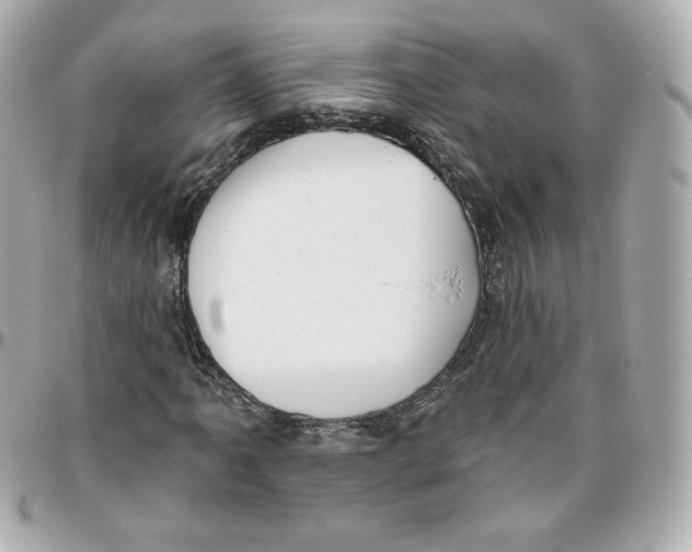 X0000095881061200802011039