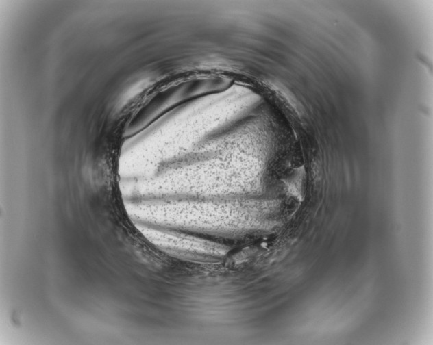 X0000095881064200802011039