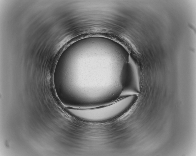 X0000095881065200802011039