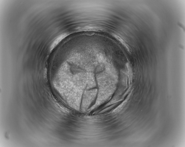 X0000095881066200802011039