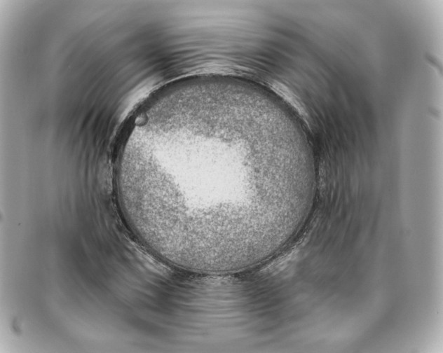 X0000095881067200802011039